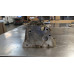 #B703 Cylinder Head From 2007 GMC Sierra 1500  5.3 243